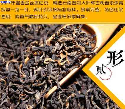 云南凤庆红茶特点及其品种介绍