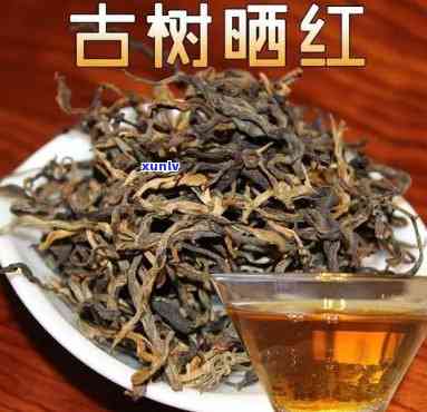 云南古树红茶保质期多久？从购买到饮用全解析