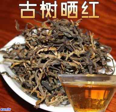 云南古树红茶保质期-云南古树红茶保质期多久