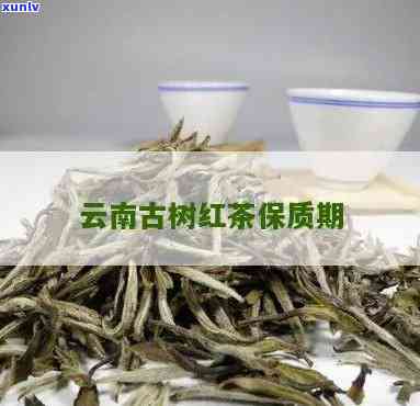 云南古树红茶保质期-云南古树红茶保质期多久