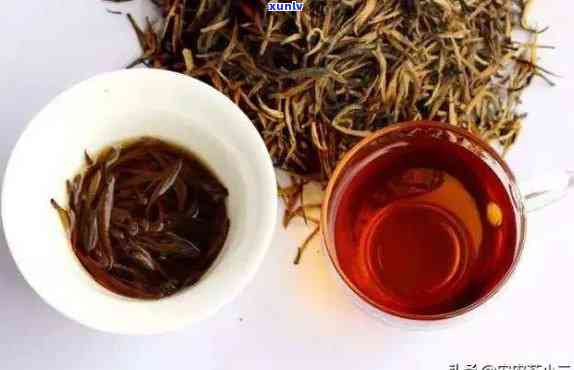 云南红茶有哪些品种排名，云南红茶品种大盘点：哪些是更受欢迎的？