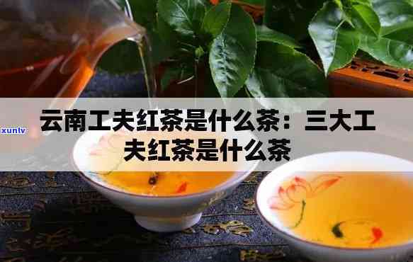 云南工夫红茶是什么-云南工夫红茶是什么茶