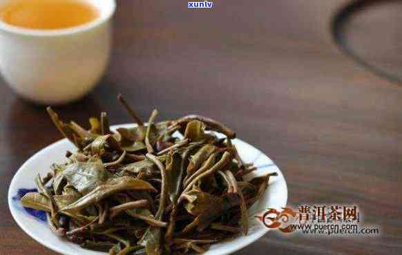 云南大叶茶：品种、分类与特点全解析