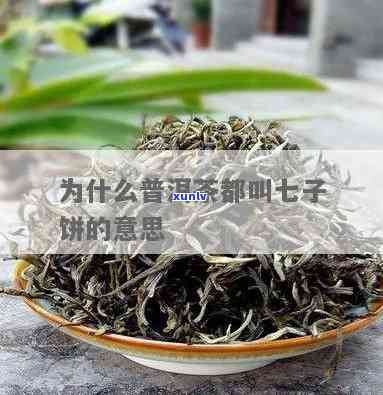 云南七子茶是普洱茶吗？探究其与普洱茶的关系