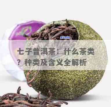 云南七子茶是普洱茶吗？探究其与普洱茶的关系