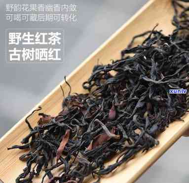 古树红茶在云南哪里-古树红茶在云南哪里生产