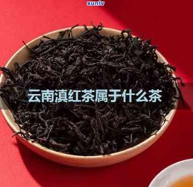 云南有什么红茶-云南有什么红茶喝