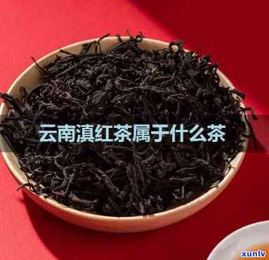 云南有什么红茶-云南有什么红茶喝