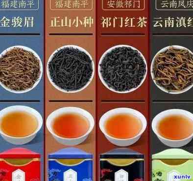 云南红茶的品种及中国十大红茶最新排名全揭秘