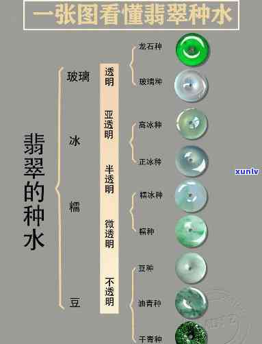 翡翠种水对照图大全高清版