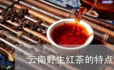 云南野生红茶的特点-云南野生红茶的特点红秋裤