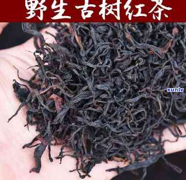 云南野生红茶的特点-云南野生红茶的特点红秋裤