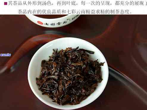 七彩云南庆沣祥茶业，品味云南风情：七彩云南庆沣祥茶业的独特魅力