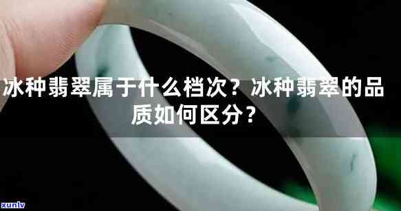 冰玉翡翠有什么区别，探究冰玉与翡翠的区别：从外观、质地到价值的全面比较