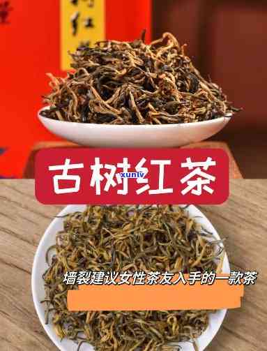 云南的古树红茶-云南的古树红茶在哪里