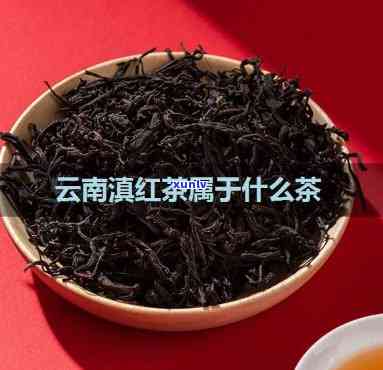 云南真红是哪种红茶-云南真红是哪种红茶品种