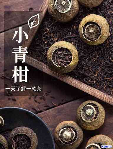 探秘龙圆号普洱茶：品质与口感的双重享受