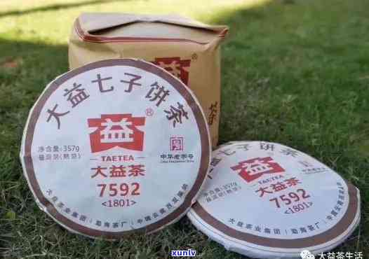 大益85927572，探讨大益85927572：一款备受关注的茶叶产品