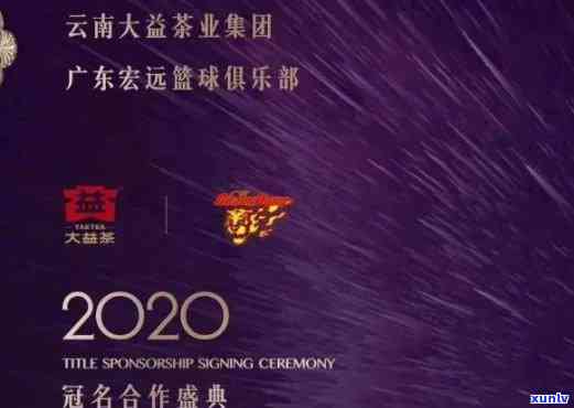 大益2020年重磅-大益 2021