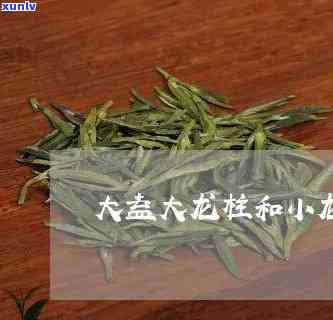 详解大益大龙柱与小龙柱的区别