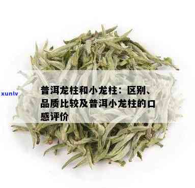 大益小龙柱有收藏价值吗，探讨大益小龙柱的收藏价值，你是否应该入手？