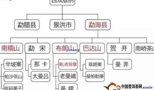 大益渠道商是什么？详解大益渠道与茶服务商的关系