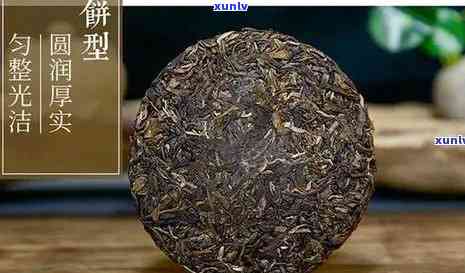 大益沱茶与饼茶有何区别？全面解析二者异同