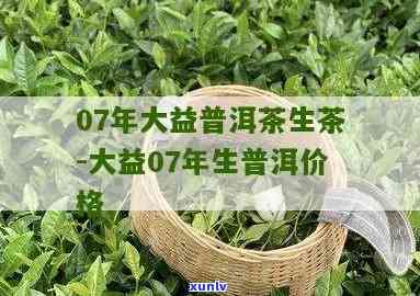 2003年大益生茶价格与2006年大益生茶对比分析