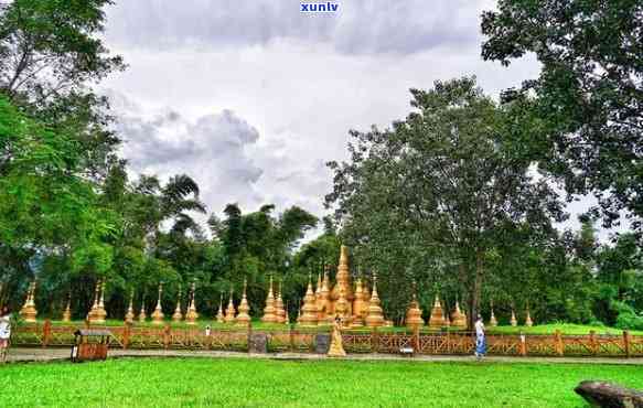 云南勐兴属于哪里，探寻云南美景：揭秘勐兴所属地区