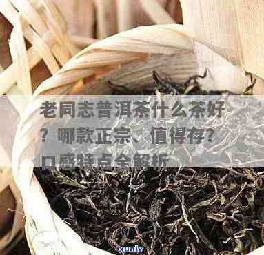 老同志哪款茶好？口味、品质全方位比较！