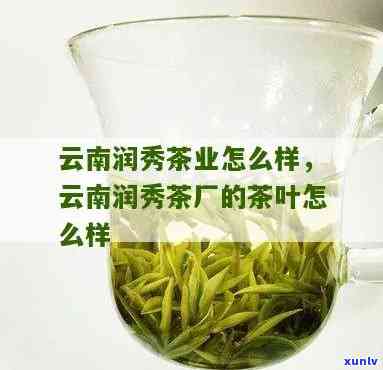 云南润秀茶厂怎么样-云南润秀茶厂怎么样啊