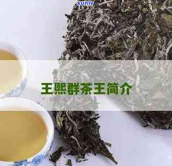 云南景谷茶厂王熙群-云南景谷茶厂王熙群简历