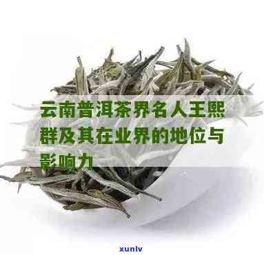 云南景谷茶厂王熙群-云南景谷茶厂王熙群简历