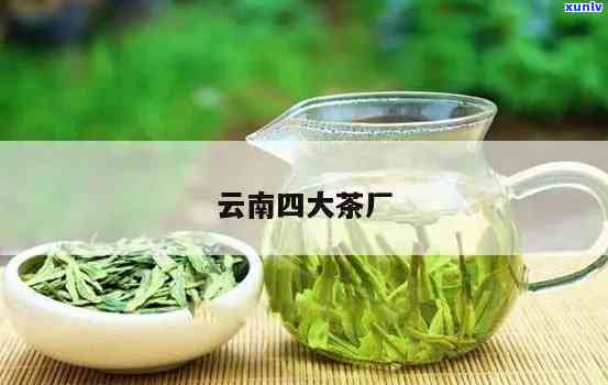 云南4大茶厂，深度解析：云南四大知名茶厂的历与特色