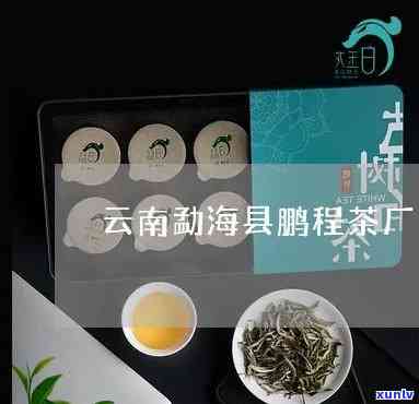 云南勐海县鹏程茶厂-云南勐海县鹏程茶厂官网