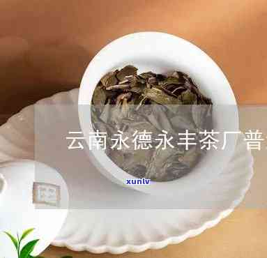 云南永德县永丰茶厂-云南永德县永丰茶厂 *** 号码