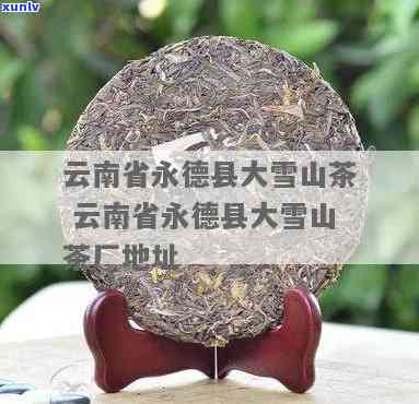 云南永德县大明茶厂-云南永德县大明茶厂网址