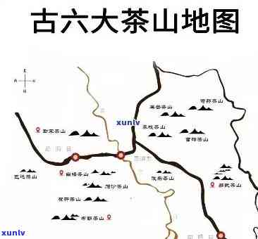 云南勐库大雪山茶厂地址及评价全揭秘