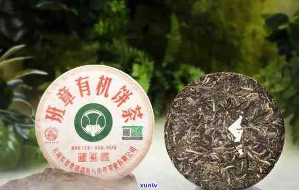 云南勐鑫茶厂：产品与联系方式全览