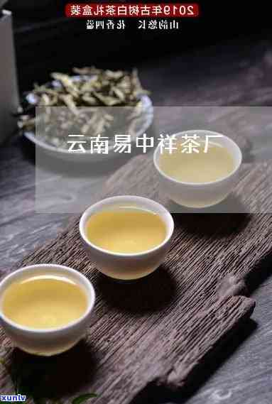 昆明易中祥茶厂产品介绍：深入了解其特点与品质