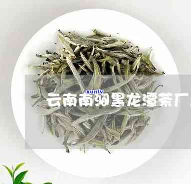 南涧黑龙潭茶厂普洱茶质量如何？价格怎样？