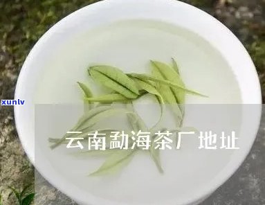 云南勐海县茗艳茶厂-云南勐海县茗艳茶厂地址