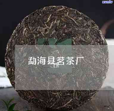 云南勐海县茗艳茶厂-云南勐海县茗艳茶厂地址