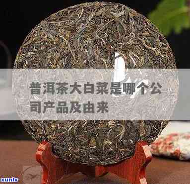 大益茶的大白菜是什么，探秘大益茶的独特品种：大白菜的魅力所在