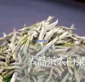 大益大白菜系列：价格与产量全解析