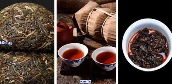 大益沱茶属于什么茶类，探秘茶叶世界：大益沱茶属于哪种茶类？