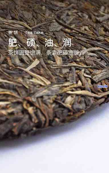 大益1801甲级沱，探索高品质茶生活：大益1801甲级沱，你的首选茶叶