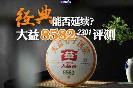 大益1988年沱茶：8582与1998年勐海沱茶的比较