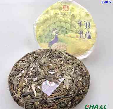 大益七星千羽雀茶-大益七星千羽雀行情价