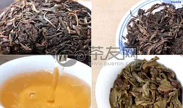 16年大益甲级沱茶-2016大益甲级沱茶